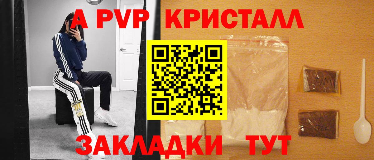 A PVP крисы CK Гай