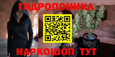 прущие грибы Бузулук