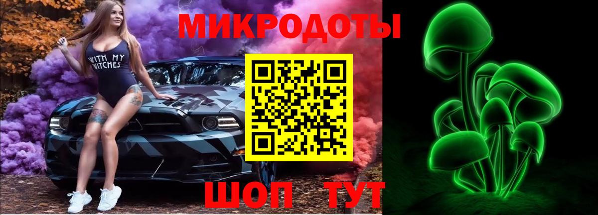 Галлюциногенные грибы Psilocybine cubensis  Гай 