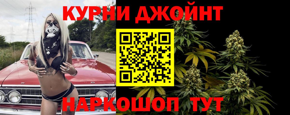 Псилоцибиновые грибы Гай